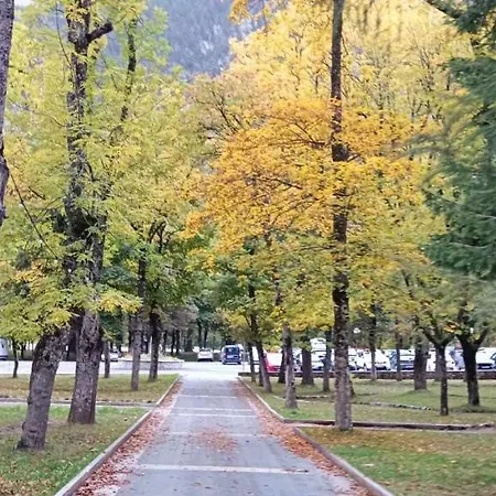 Argualas V - Wowrural